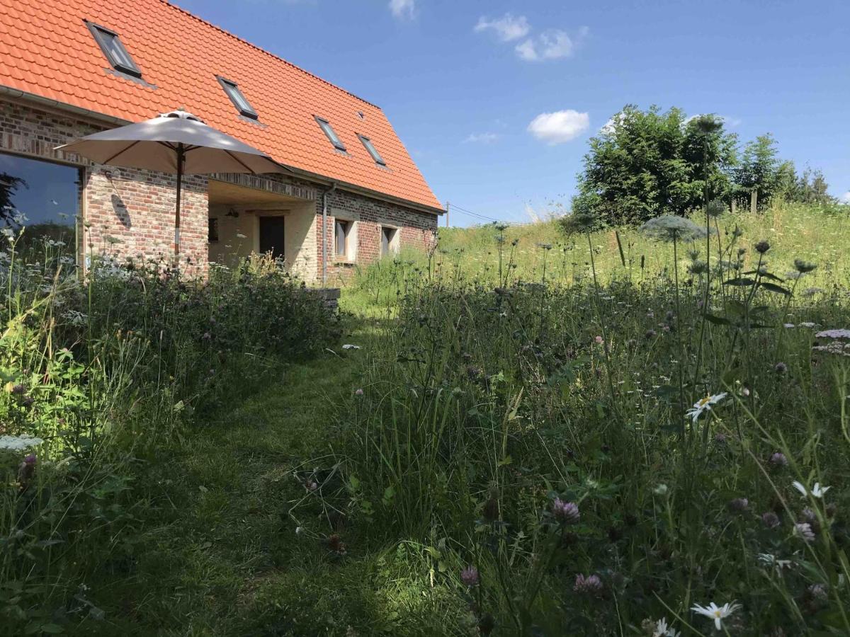 Nachtegael Hoekhuis, Knusse Woning Met Prachtig Vergezicht Kluisbergen Екстер'єр фото